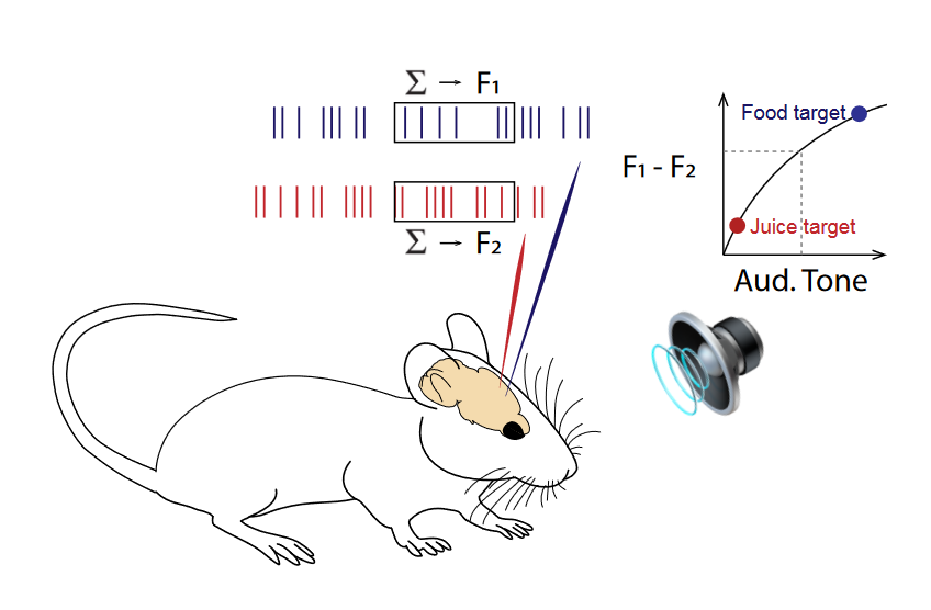 Huntington's disease